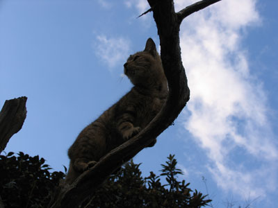 NORA060106_1.jpg