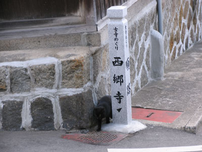 古寺巡り１