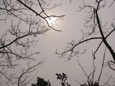 空