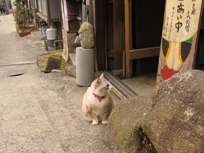 小梅さん