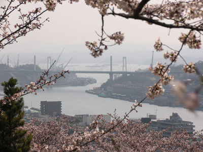 千光寺から