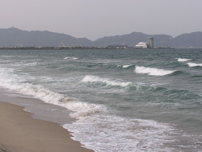 海