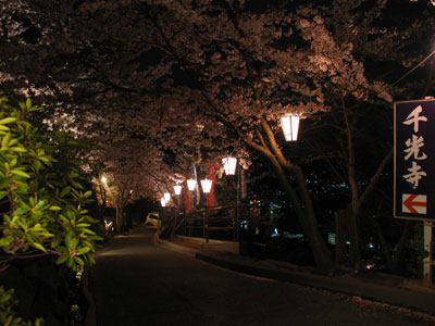 千光寺あたり