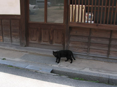 黒猫