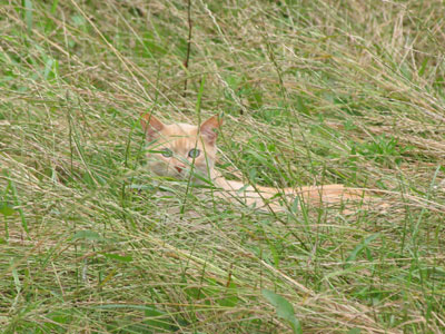 NORA060703_8915.jpg