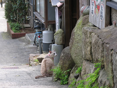 小梅さん