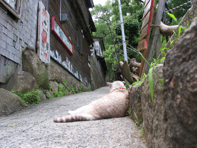 小梅さん