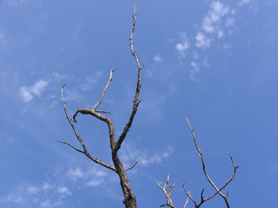 空