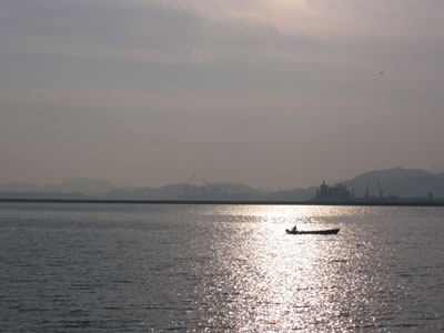 海