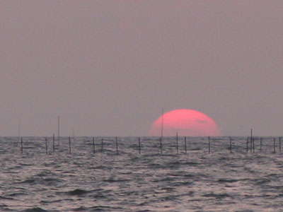 夕陽