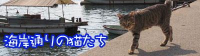 ss_title2.jpg