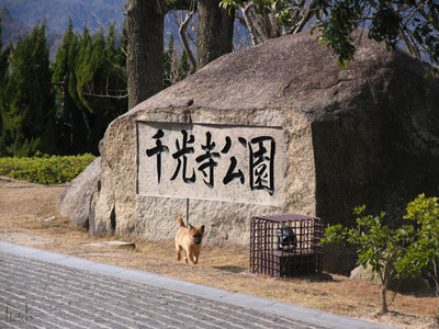 千光寺公園