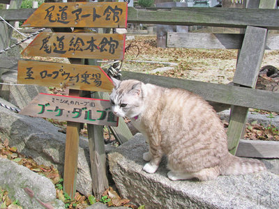 小梅さん