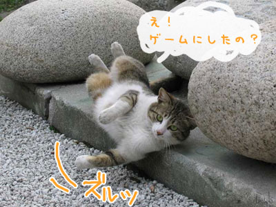 力石と猫