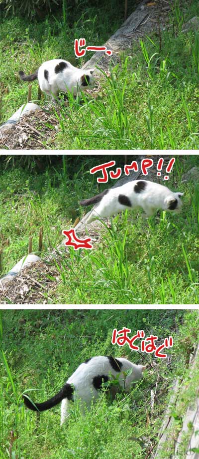 ジャンプ