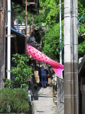 猫の細道