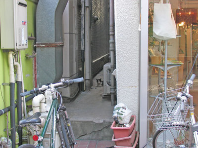 路地