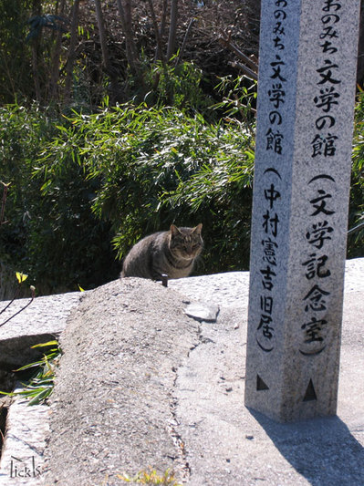 遭遇